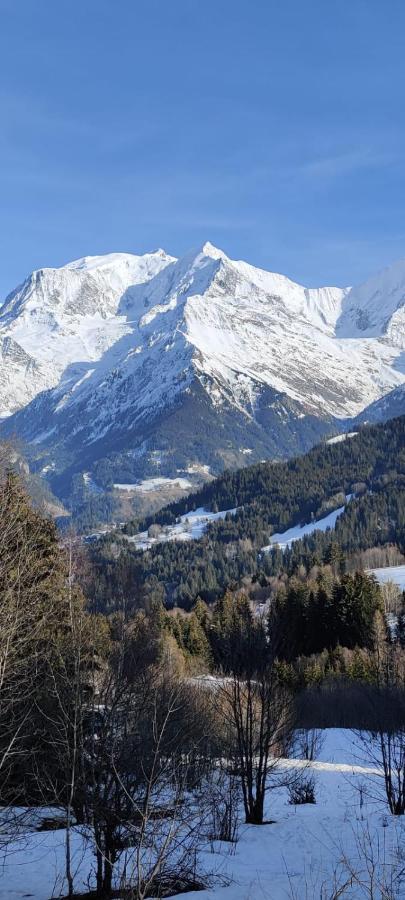 Appartement Ideal Ete Ou Hiver, Pour Skieurs Et Promeneurs, 4 Personnes Saint-Gervais-les-Bains Exterior photo